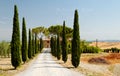 Tree lined road in Tuscany Royalty Free Stock Photo
