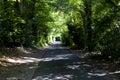 Tree lined singe lane