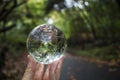 Tree Lined Street with Fall Leaves Shot Through Glass Ball