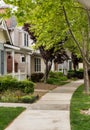 Tree lined street in California residential neighborhood