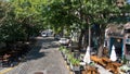 Tree lined street in Palermo