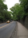 Tree lined street running through Central Park