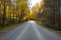 Tree lined unpaved country road on a sunny autumn day. Beautiful fall foliage. Royalty Free Stock Photo