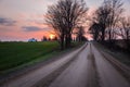 Tree lined unpaved country road at sunset Royalty Free Stock Photo