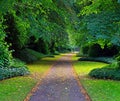 Tree-lined walkway at Biddulph grange in Staffordshire