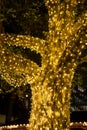 Tree lit with holiday lights warm glow