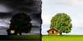 Tree with a log house in a meadow Royalty Free Stock Photo