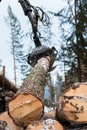 Tree log hydraulic manipulator Royalty Free Stock Photo