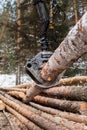 Tree log hydraulic manipulator Royalty Free Stock Photo