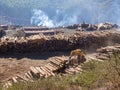 Tree logging in rural Swaziland with heavy machinery, stacked timber and forest in background, Africa Royalty Free Stock Photo
