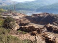 Tree logging in rural Swaziland with heavy machinery, stacked timber and forest in background, Africa