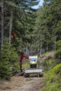 Tree logging in Ziar valley, Western Tatras, Slovakia