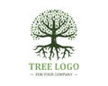 Tree logo isolated on a white background. Classic design. Green and brown colors. Lettering. Space for text. Leaves and roots. Royalty Free Stock Photo