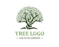 Tree logo isolated on a white background. Classic design. Green and brown colors. Lettering. Space for text. Leaves and roots. Royalty Free Stock Photo