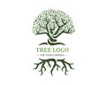 Tree logo isolated on a white background. Classic design. Green and brown colors. Lettering. Space for text. Leaves and roots. Royalty Free Stock Photo