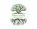 Tree logo isolated on a white background. Classic design. Green and brown colors. Lettering. Space for text. Leaves and roots. Royalty Free Stock Photo