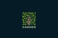 Tree Logo Square Shape Design Vector template. Park Garden Forest Eco Nature Logotype concept icon Royalty Free Stock Photo