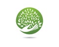 Tree symbol vector icon illustration Royalty Free Stock Photo