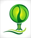 Tree logo vector web image Royalty Free Stock Photo