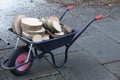 Tree Logs in Wheel Barrow Royalty Free Stock Photo