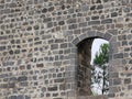 Tree looks from the window of the city walls in diyarbakir