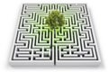 Tree in lost in labyrinth Royalty Free Stock Photo