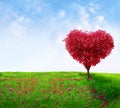 Tree of love Royalty Free Stock Photo