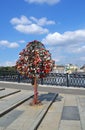 Tree of Love, Luzhkov Bridge Royalty Free Stock Photo