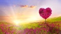 Tree of love in spring. Red heart shaped tree at sunset. Beautiful landscape with flowers.Love background with copy space Royalty Free Stock Photo