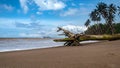 A tree lying on an empty tropical beach Royalty Free Stock Photo