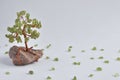 Handmade bead wire bonsai tree Royalty Free Stock Photo