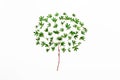 Tree made of green leaves. Concept minimalistic natural minimal