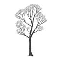 Tree, many branches, halloween design vector drawing Royalty Free Stock Photo
