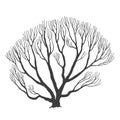 Tree, many branches, halloween design vector drawing Royalty Free Stock Photo