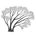 Tree, many branches, halloween design vector drawing Royalty Free Stock Photo