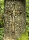 Tree mark