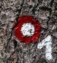 Tree mark with a number Royalty Free Stock Photo