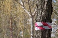 Tree marked with sign in the forest