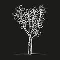 Vector woodcut print style tree