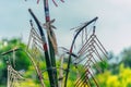 Tree mentioned (Vietnamese name is Cay Neu) - symbol of ethnic minority spiritual Kontum, Vietnam Royalty Free Stock Photo