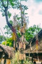 Tree mentioned (Vietnamese name is Cay Neu) - symbol of ethnic minority spiritual Kontum, Vietnam Royalty Free Stock Photo