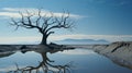 A tree in the middle of a body of water Royalty Free Stock Photo