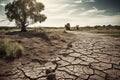 a dry cracked road with a tree in the desert Royalty Free Stock Photo