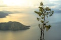 A Tree in the Middle of Lake Toba Golden Sunrise View Royalty Free Stock Photo