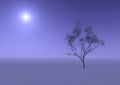 Tree in misty haze