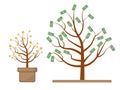 Tree with money. Coins and dollars. Evolution, growth, progressive concept. Flat design, isolated white background