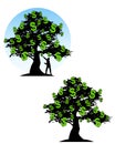 Tree of Money Dollar Signs Royalty Free Stock Photo