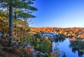 Tree on a mountain beside a river Royalty Free Stock Photo