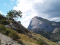 Tree on the mountain