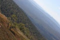 Tree And Mountains